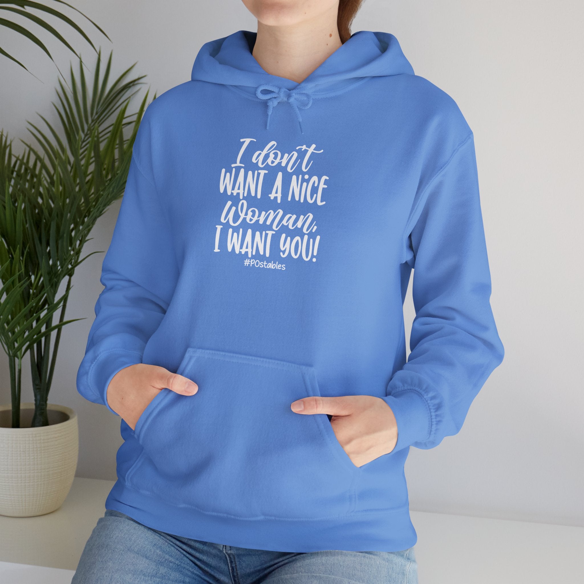 I Don’t Want a Nice Woman I Want You Unisex Hoodie