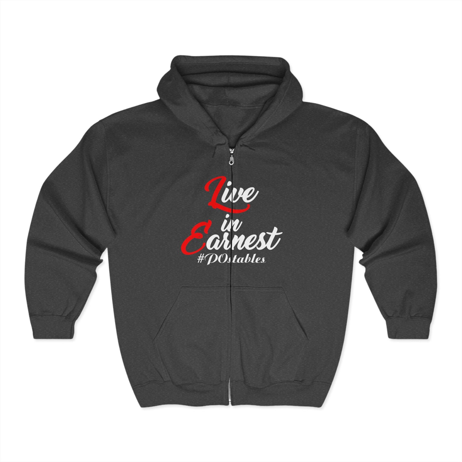 Live in Earnest Unisex Zip Hoodie