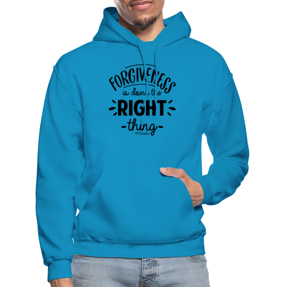 Forgiveness Is Doing The Right Thing B Gildan Heavy Blend Adult Hoodie - turquoise