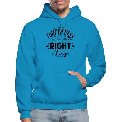 Forgiveness Is Doing The Right Thing B Gildan Heavy Blend Adult Hoodie - turquoise