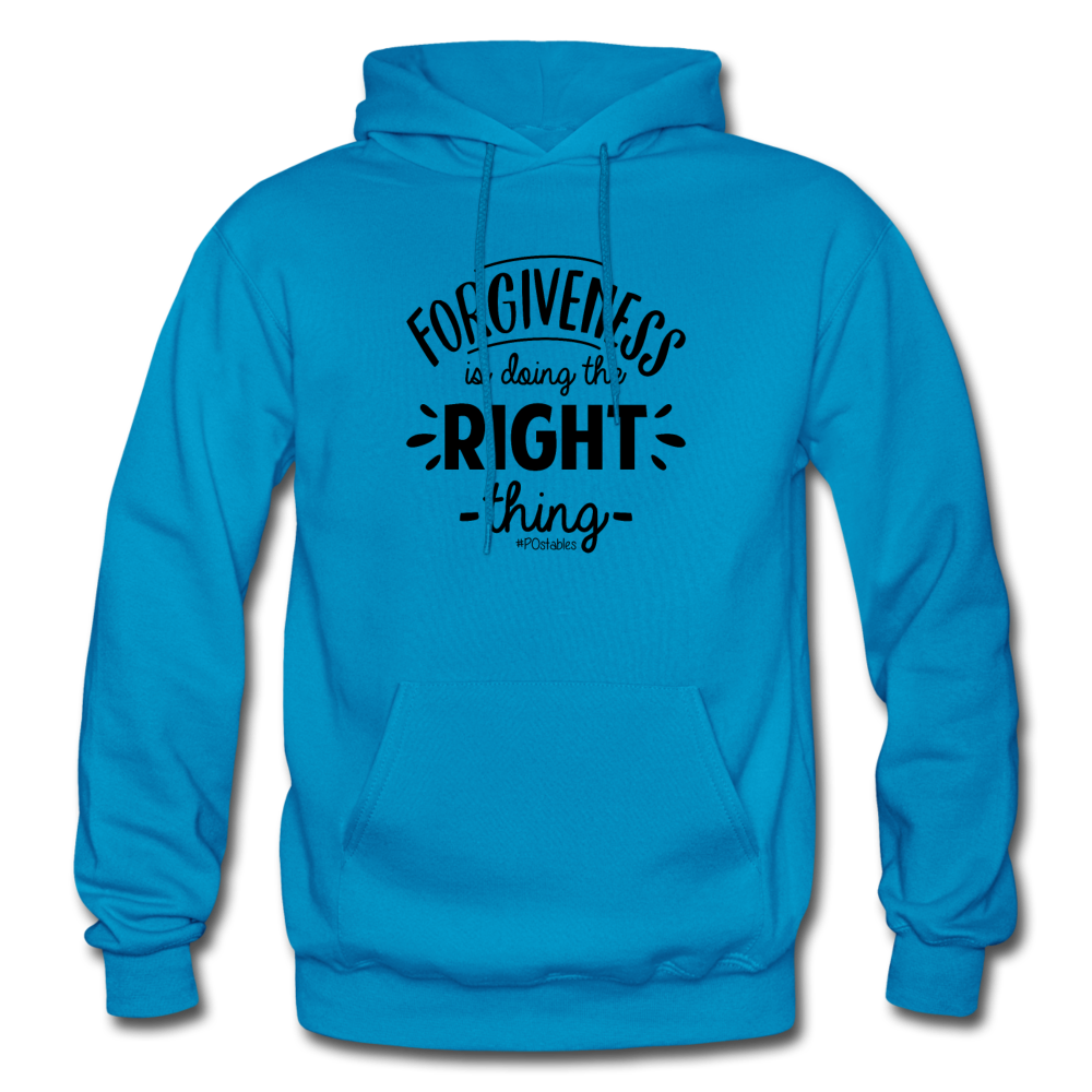 Forgiveness Is Doing The Right Thing B Gildan Heavy Blend Adult Hoodie - turquoise