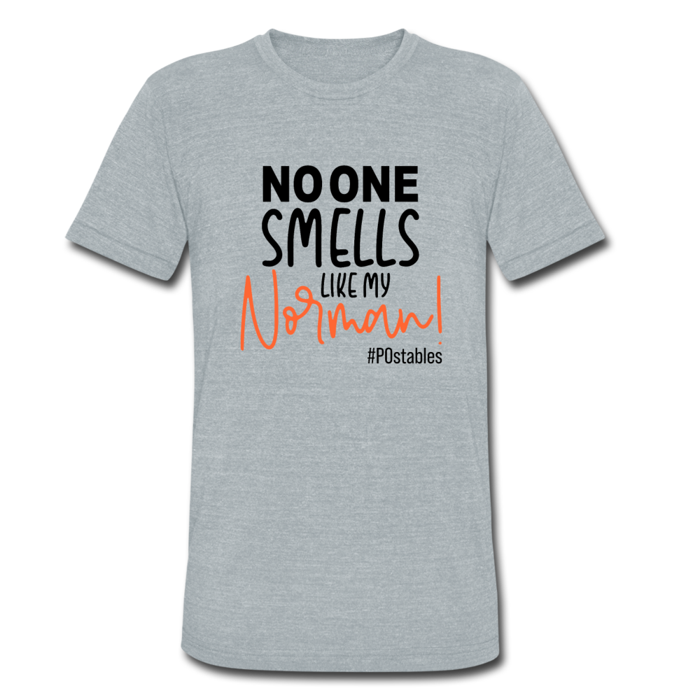 No One Smells Like My Norman B Unisex Tri-Blend T-Shirt - heather grey