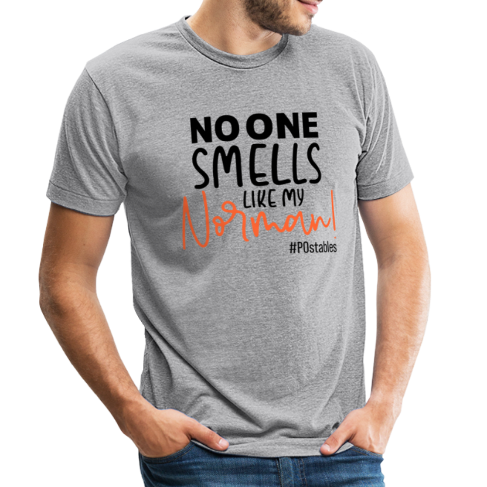No One Smells Like My Norman B Unisex Tri-Blend T-Shirt - heather grey