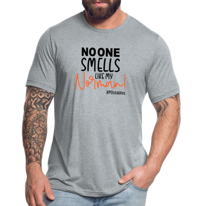 No One Smells Like My Norman B Unisex Tri-Blend T-Shirt - heather grey