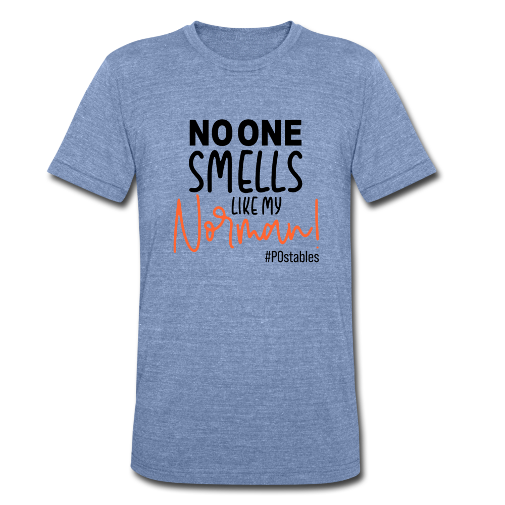 No One Smells Like My Norman B Unisex Tri-Blend T-Shirt - heather Blue