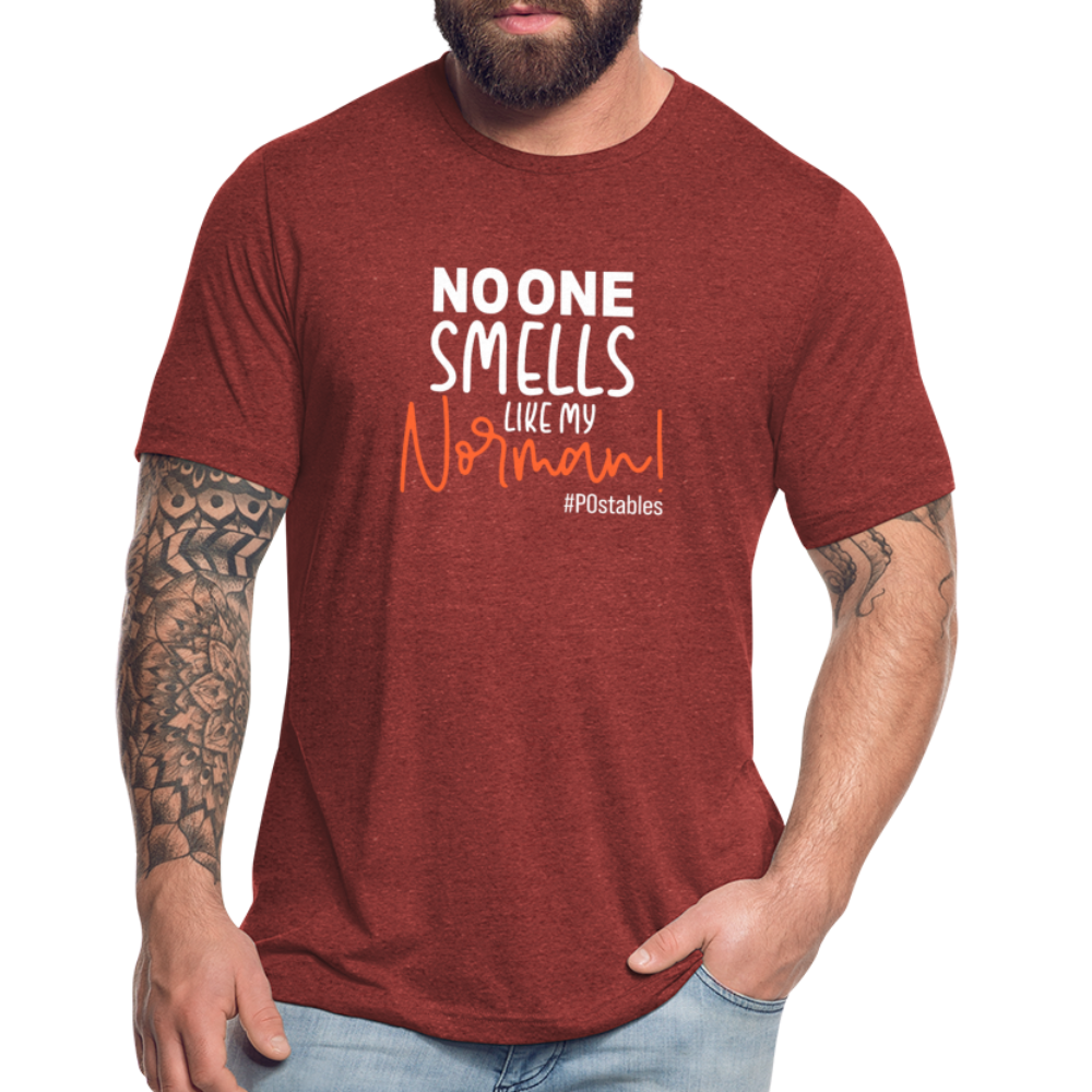 No One Smells Like My Norman W Unisex Tri-Blend T-Shirt - heather cranberry