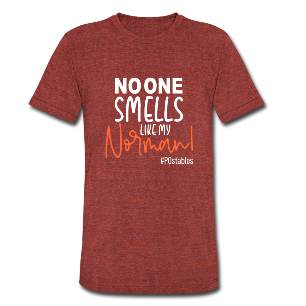 No One Smells Like My Norman W Unisex Tri-Blend T-Shirt - heather cranberry