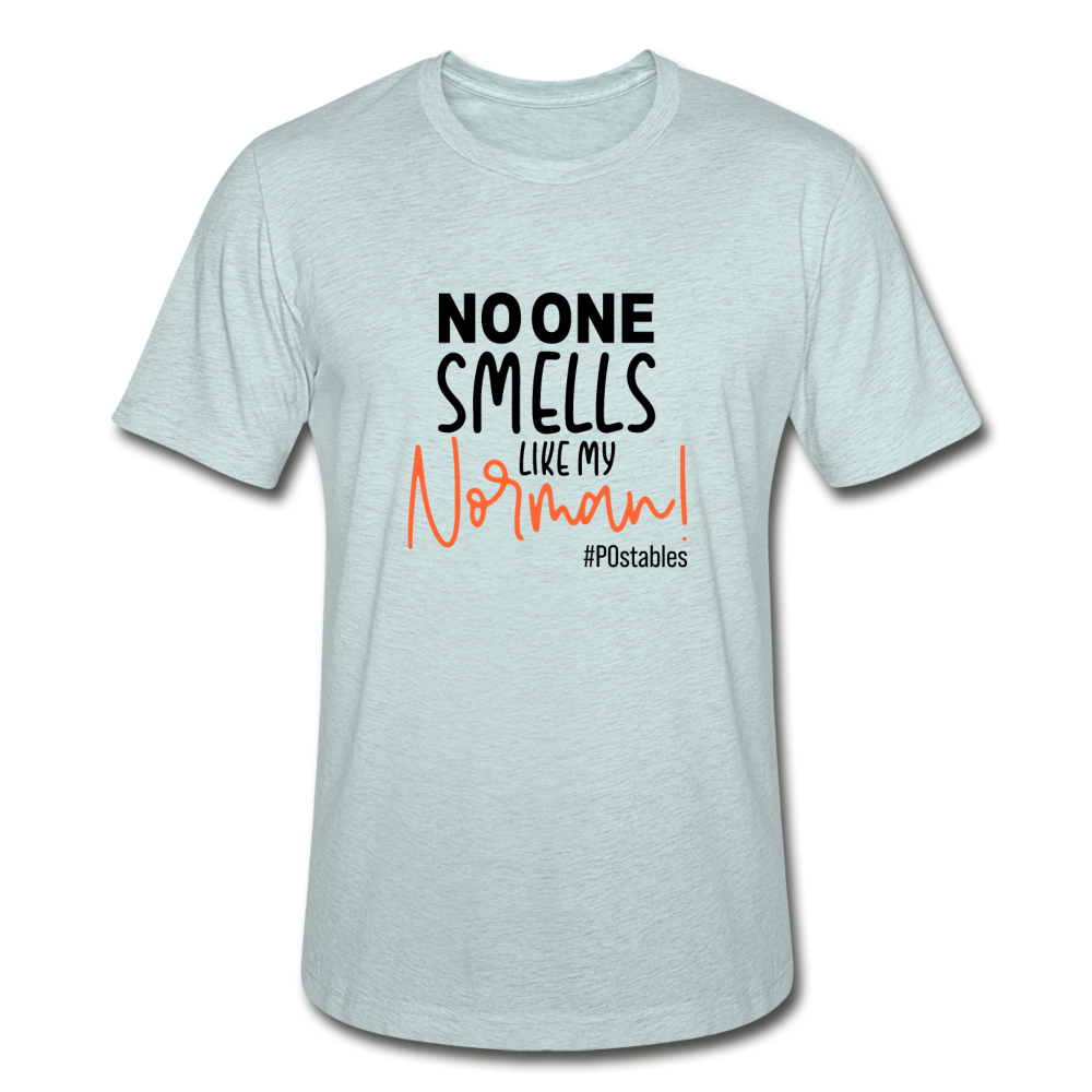 No One Smells Like My Norman B Unisex Heather Prism T-Shirt - heather prism ice blue