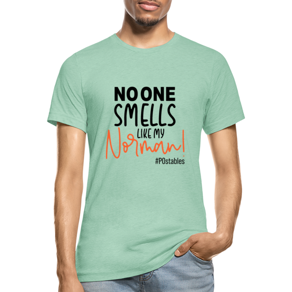No One Smells Like My Norman B Unisex Heather Prism T-Shirt - heather prism mint