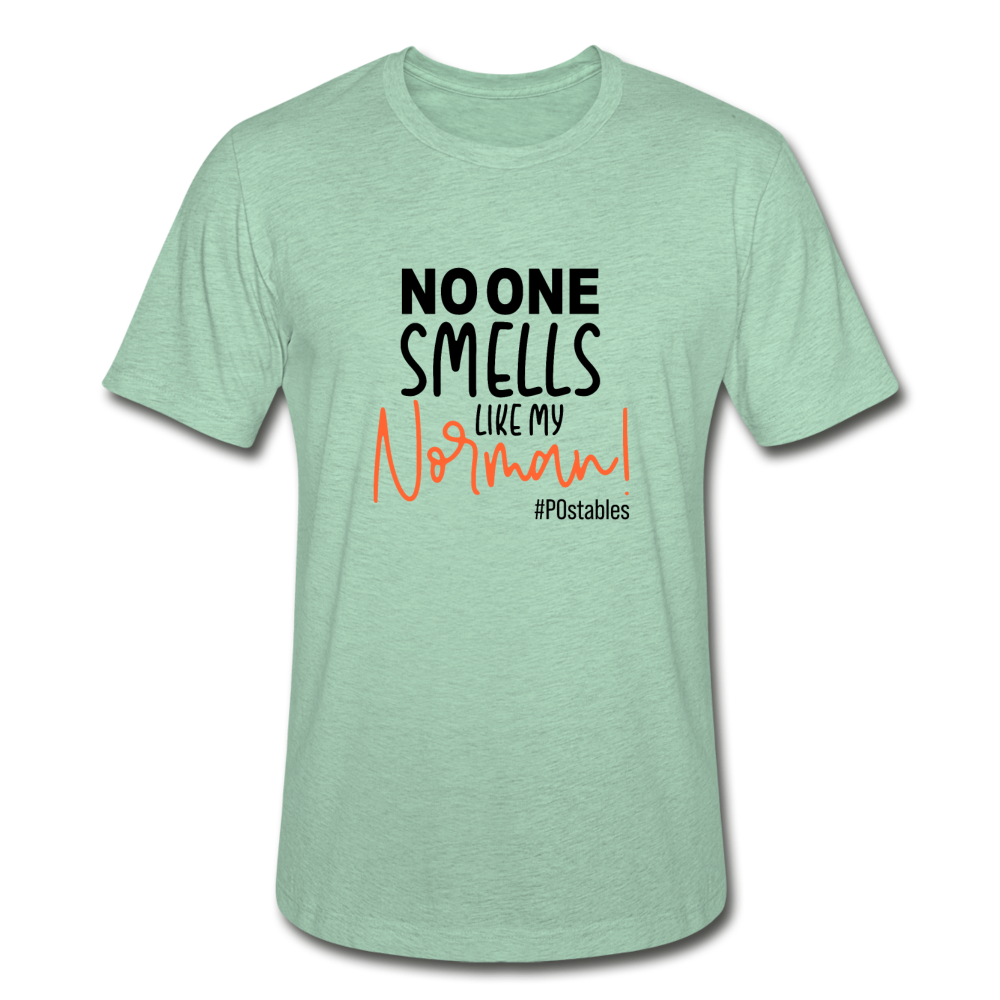 No One Smells Like My Norman B Unisex Heather Prism T-Shirt - heather prism mint