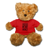 You Never Have Enough Money If All You Have Is Money B Teddy Bear - red