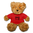 Trust The Timing B Teddy Bear - red